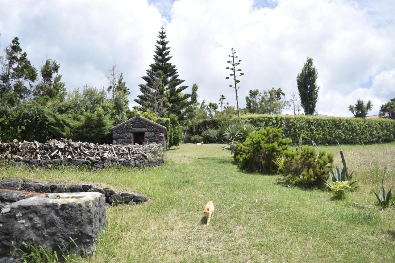 Quinta Da Meia Eira Castelo Branco  Dış mekan fotoğraf